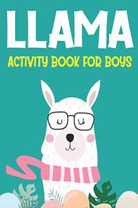 Llama Activity Book for Boys
