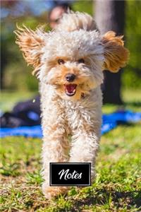 Poodle Dog Pup Puppy Doggie Notebook Bullet Journal Diary Composition Book Notepad - Run On Grass