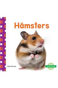 Hámsters (Hamsters) (Spanish Version)