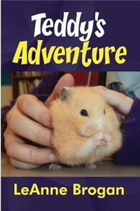 Teddy's Adventure