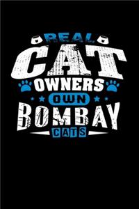 Real Cat Owners Own Bombay Cats
