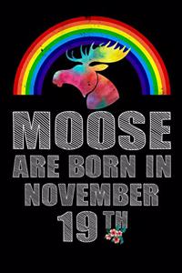 Moose Are Born In November 19th