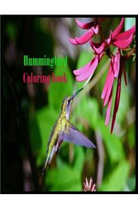 Hummingbird Coloring Book