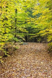 2020 Weekly Planner Pretty Fall Leaves Autumn Path 134 Pages