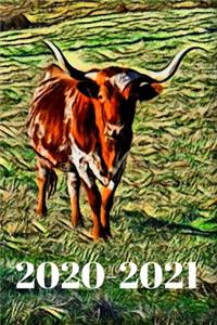 Long Horn Steer Dated Calendar Planner 2 years To-Do Lists, Tasks, Notes Appointments