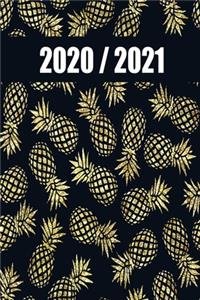 2020 / 2021