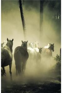 The Hacker-Proof Internet Address Password Book - Wild Horses