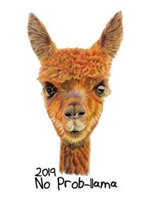 2019 No Prob-llama