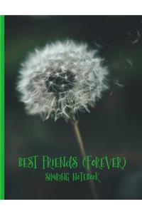 Best Friends Forever #3 - Sharing Notebook for Women and Girls