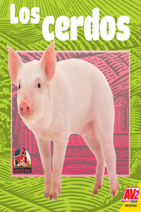 Cerdos (Pigs)