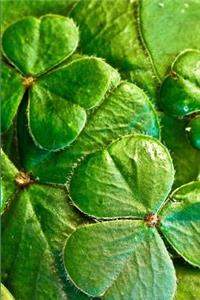 Ireland Travel Journal