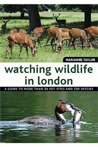 Watching Wildlife in London