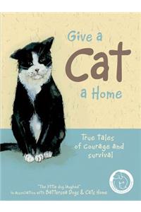 Give a Cat a Home