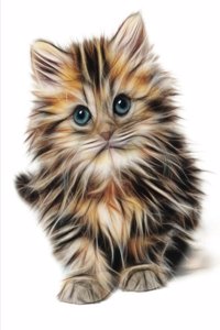 College Day Planner 140 Day 8x10 Time Management Planner Organizer With Cute Kit