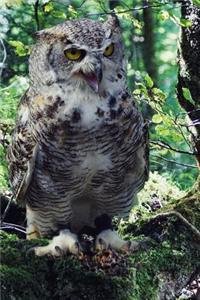 Awesome Owl in the Woods Journal