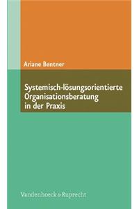 Systemisch-losungsorientierte Organisationsberatung in Der Praxis