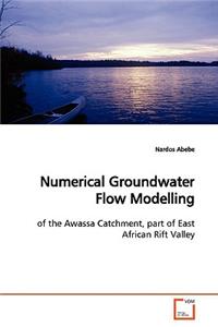 Numerical Groundwater Flow Modelling