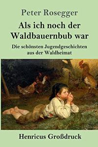 Als ich noch der Waldbauernbub war (Großdruck): Die schönsten Jugendgeschichten aus der Waldheimat