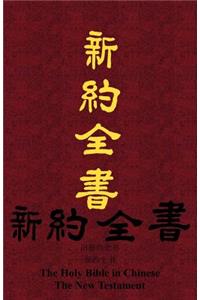 Chinese New Testament-FL