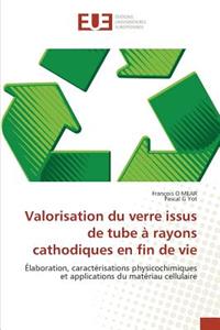 Valorisation du verre issus de tube à rayons cathodiques en fin de vie