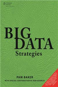 Big Data Strategies