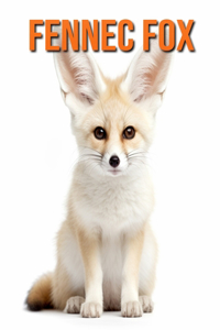 Fennec Fox