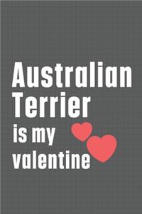 Australian Terrier is my valentine