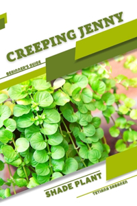 Creeping Jenny