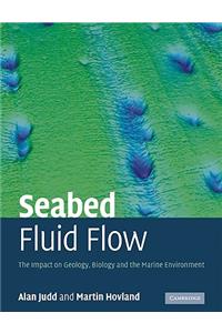 Seabed Fluid Flow