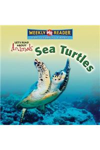Sea Turtles