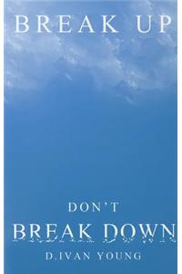 Break Up, Don't Break Down: A Relationship Manual for Surviving Breakups, Separation, and Divorce