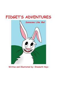 Fidget's Adventures