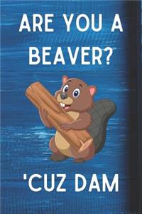 Are You A Beaver? 'Cuz Dam