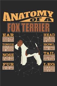 Anatomy Of A Fox Terrier