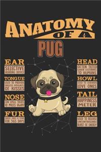 Anatomy Of A Pug
