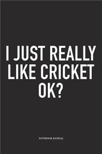 I Just Really Like Cricket Ok?