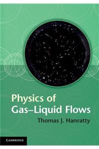 Physics of Gas-Liquid Flows