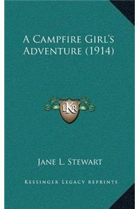 A Campfire Girl's Adventure (1914)