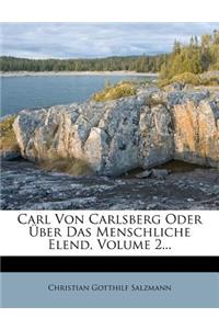 Carl Von Carlsberg Oder Uber Das Menschliche Elend, Volume 2...