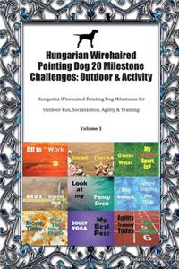 Hungarian Wirehaired Pointing Dog 20 Milestone Challenges