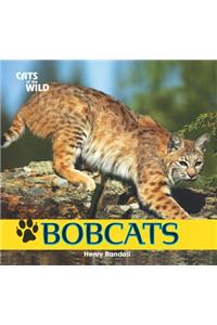 Bobcats