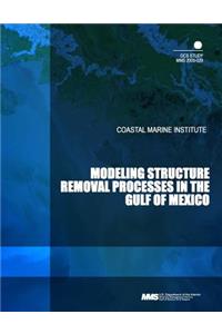 Modeling Structure Removal Processes in the Gulf of Mexico