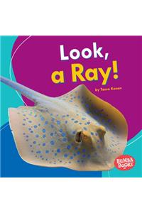 Look, a Ray!