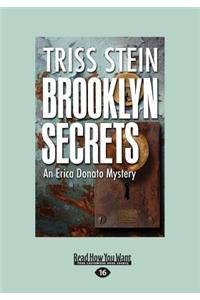 Brooklyn Secrets: An Erica Donato Mystery (Large Print 16pt)