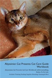 Abyssinian Cat Presents