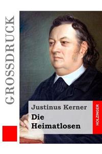 Die Heimatlosen (Großdruck)
