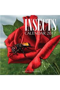 Insects Calendar 2017