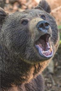 Brown Bear Sings Karaoke Journal