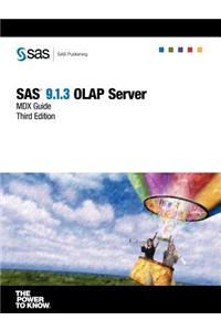 SAS(R) 9.1.3 OLAP Server