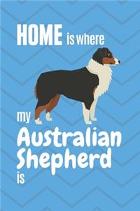 Home is where my Australian Shepherd is